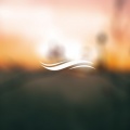 Enlightenment