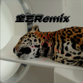 金艺 - Call You Tonight (金艺 remix)