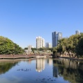 陈旭东Dong - 时间煮雨