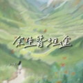 余生皆坦途