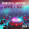DJ浪子 - 我喜欢DJ浪仔啊