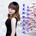 晓朋、晓依 - 雪花飘飘爱你依旧DJ