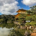 25 Songs With Nature: Sounds for Focus