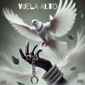 alisson still - punto
