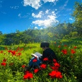 Dizzy Boy、Universatility Group - metaphor