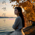 我想你了(烟嗓版)