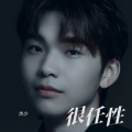 杰少 - 很任性