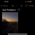 Kendo - Auf Feldern