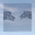 Antoine、Angèle - Happy Day