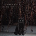 my dear witch - Трубы