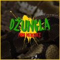 Džungla (Explicit)