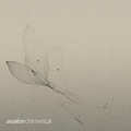 Chimerical