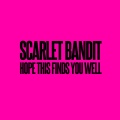 Hope This Finds You Well (Explicit)