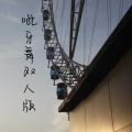 王飘飘 - 起风了