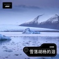 吴慧鹏 - 雪落胡杨的泪