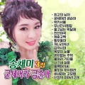 송채미 (Song Chae Mi) - 럭키서울