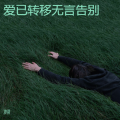 爱已转移无言告别