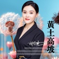 闫辽艳 - 黄土高坡