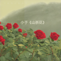小于 - 山茶花与白玫瑰的平行世界
