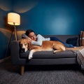 Musica Para Perros Paz、Ritmos suaves、Zona de Sonidos de la Naturaleza - Noches Tranquilas Para Perros