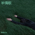 野原达达 - 半情歌