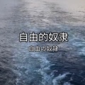 大清第一巴图鲁 - 自由的哈基米