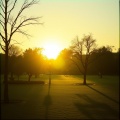 JAMROLL - 公園
