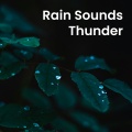 Nature Noise、Natural Forest Sounds、The Rainforest Collective - Tranquil Showers & Distant Storm
