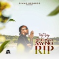 Iceberg - Never Waan Say No Rip
