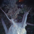 apparition what