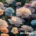 im Dough - 햇살의 세레나데
