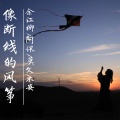 余江柳 - 备选答案