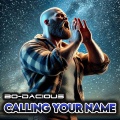 Calling Your Name (Echo) [Explicit]