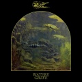 ESOX - Esox lucius