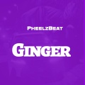 Pheelz Beat - Party Hard
