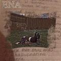 ENA - Early this morning