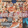 Where Are You (Remix) [Explicit]