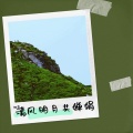 阿莲 - 桃林漫步意绵绵