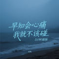 早知会心痛我就不该碰 (D阿越版)