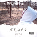简单笔画 - 盛夏的果实