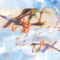 桂 花 塢