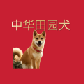 周细荣 - 中华田园犬
