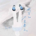 我等的不是春天