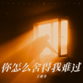 王亚冬 - 你怎么舍得我难过