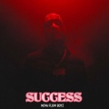 Nova Flow Boyz - Success