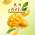 周细荣 - 海南黄金芒果