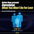 What You Won't Do For Love