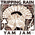 Tripping Rain - Crucified