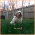 Equipment - Colors