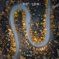 一首歌一个故事